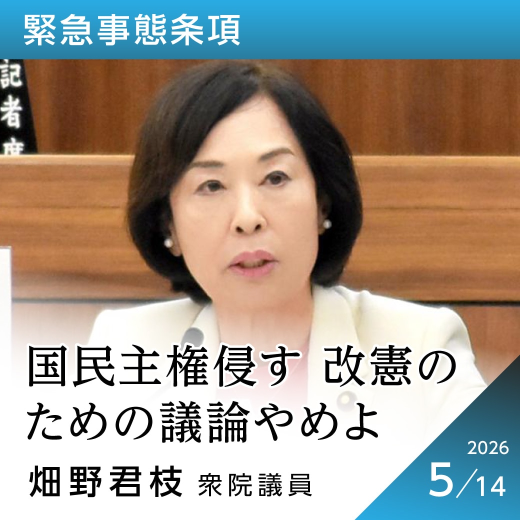 緊急事態条項　畑野君枝議員