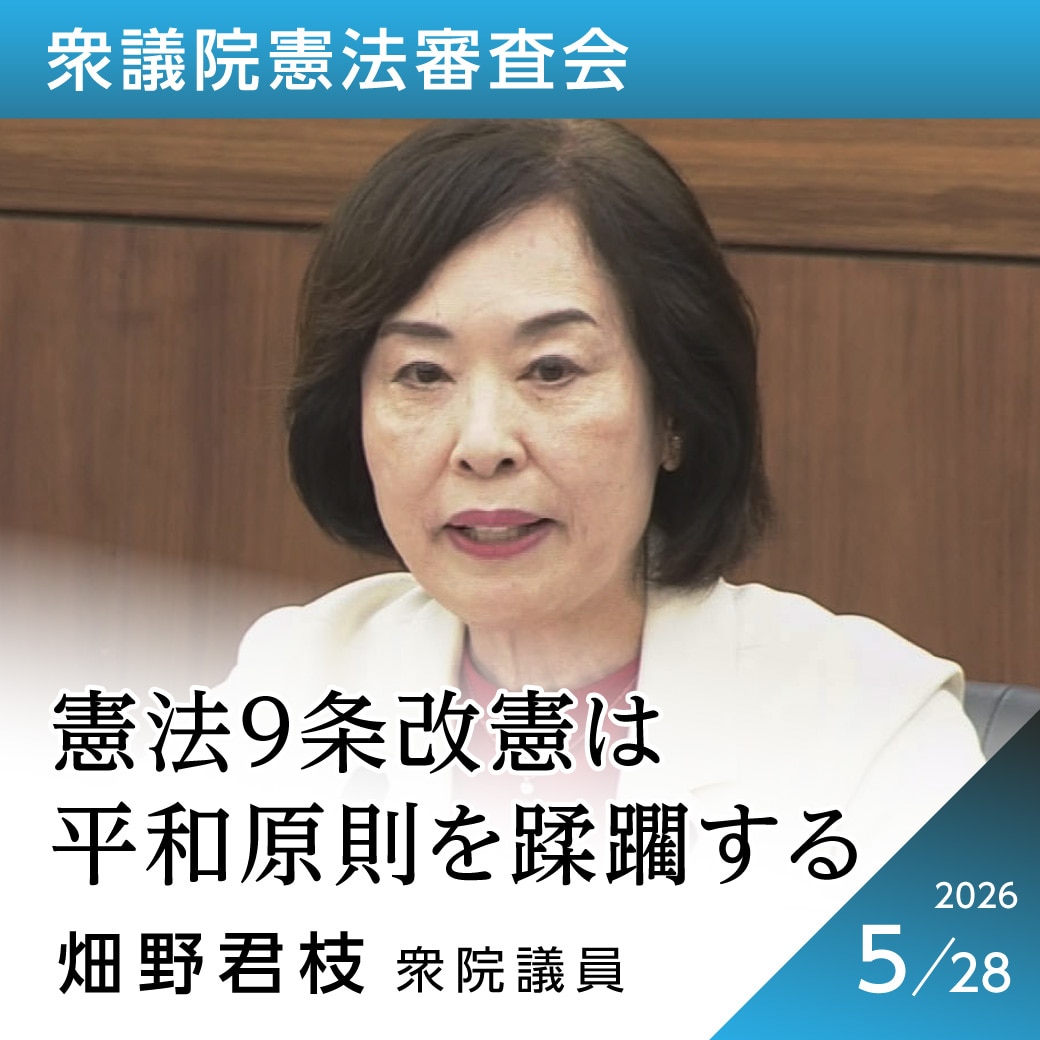 衆議院憲法審査会　畑野君枝議員
