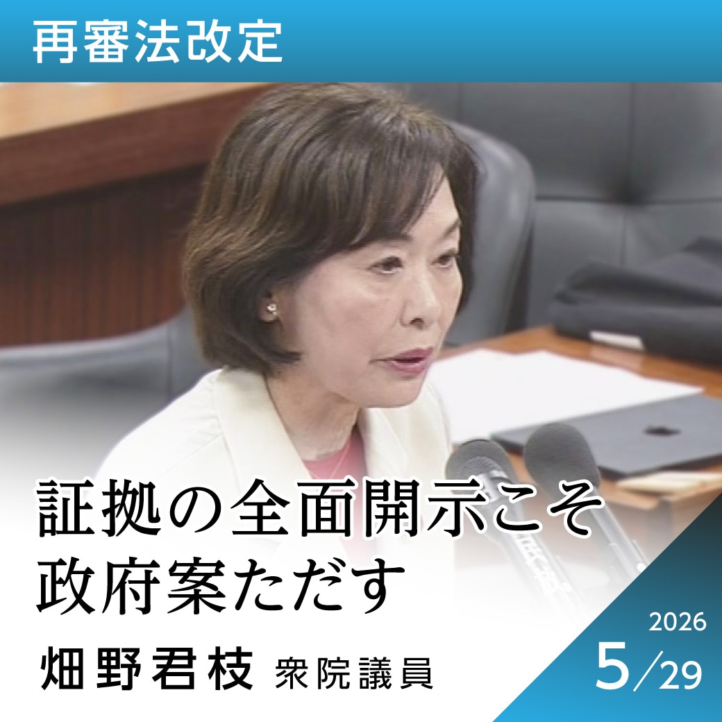 再審法改定　畑野君枝議員