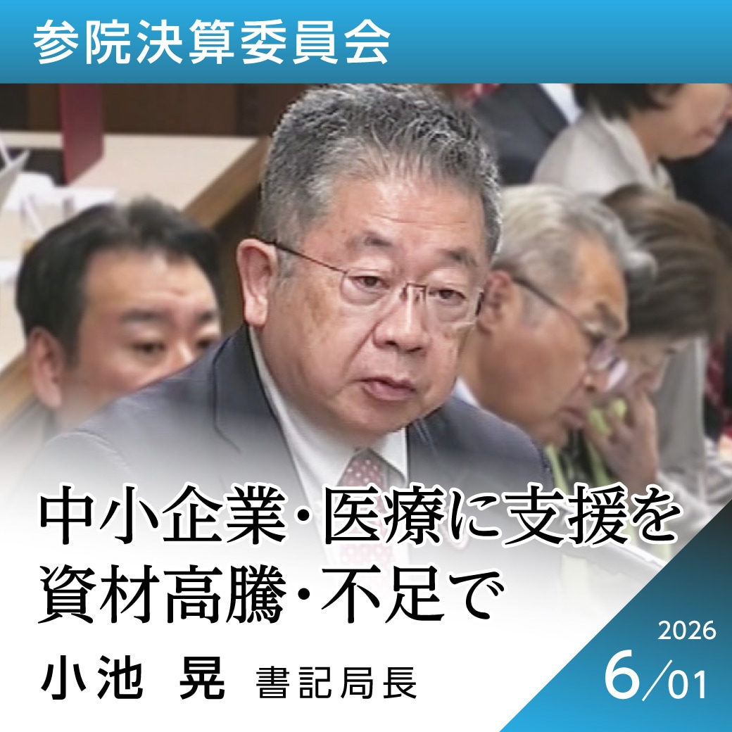 参院決算委員会　小池晃書記局長