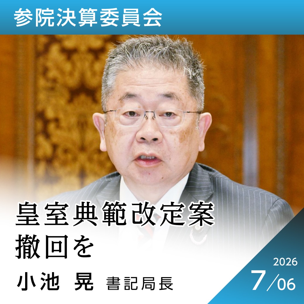 参院決算委員会　小池晃書記局長