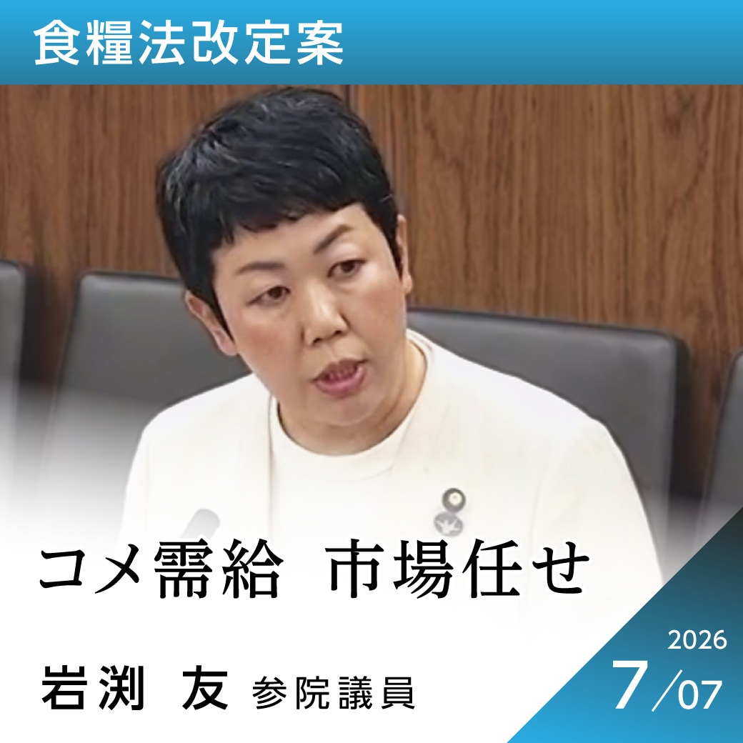 食糧法改定案　岩渕友議員