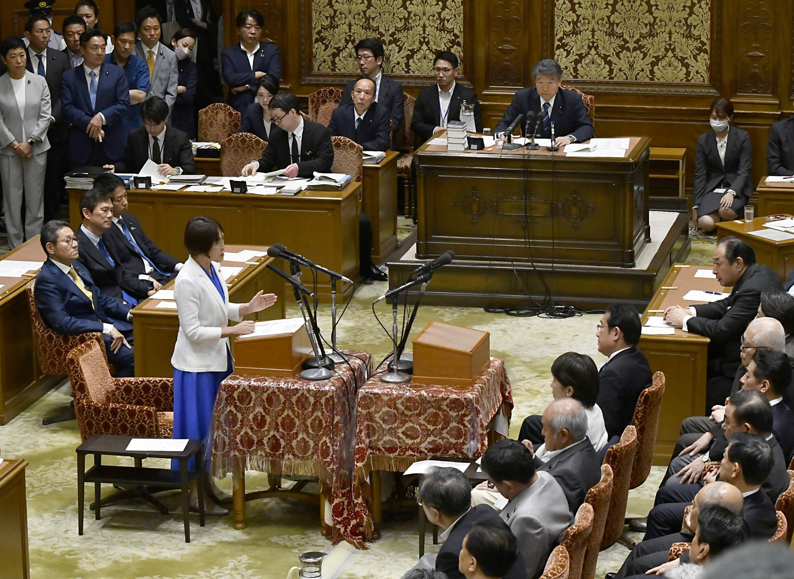 田村委員長の国会質問