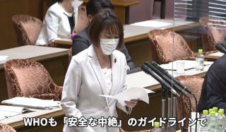 経口妊娠中絶薬の早期承認を　田村智子参院議員が質問