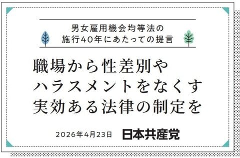 職場から性差別やハラスメントをなくす実行ある法律の制定を