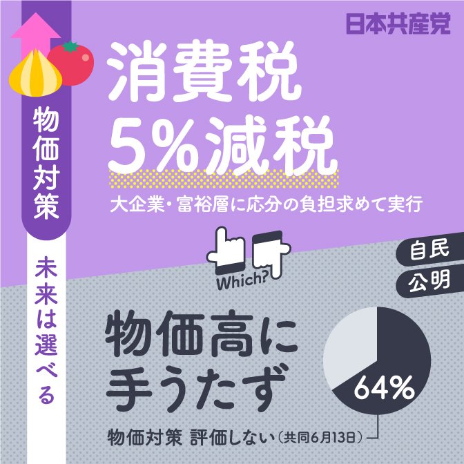 2022参院選「消費税5％減税」