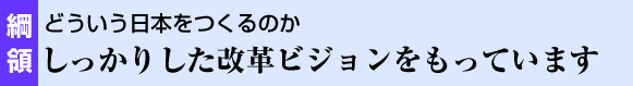 綱領　どういう日本をつくるのかしっかりした改革ビジョンをもっています