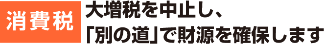 消費税　大増税を中止し、「別の道」で財源を確保します