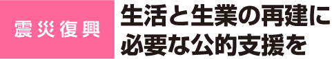 震災復興　生活と生業の再建に必要な公的支援を