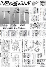 17面