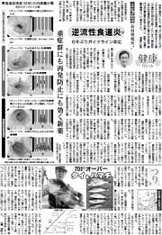 32面